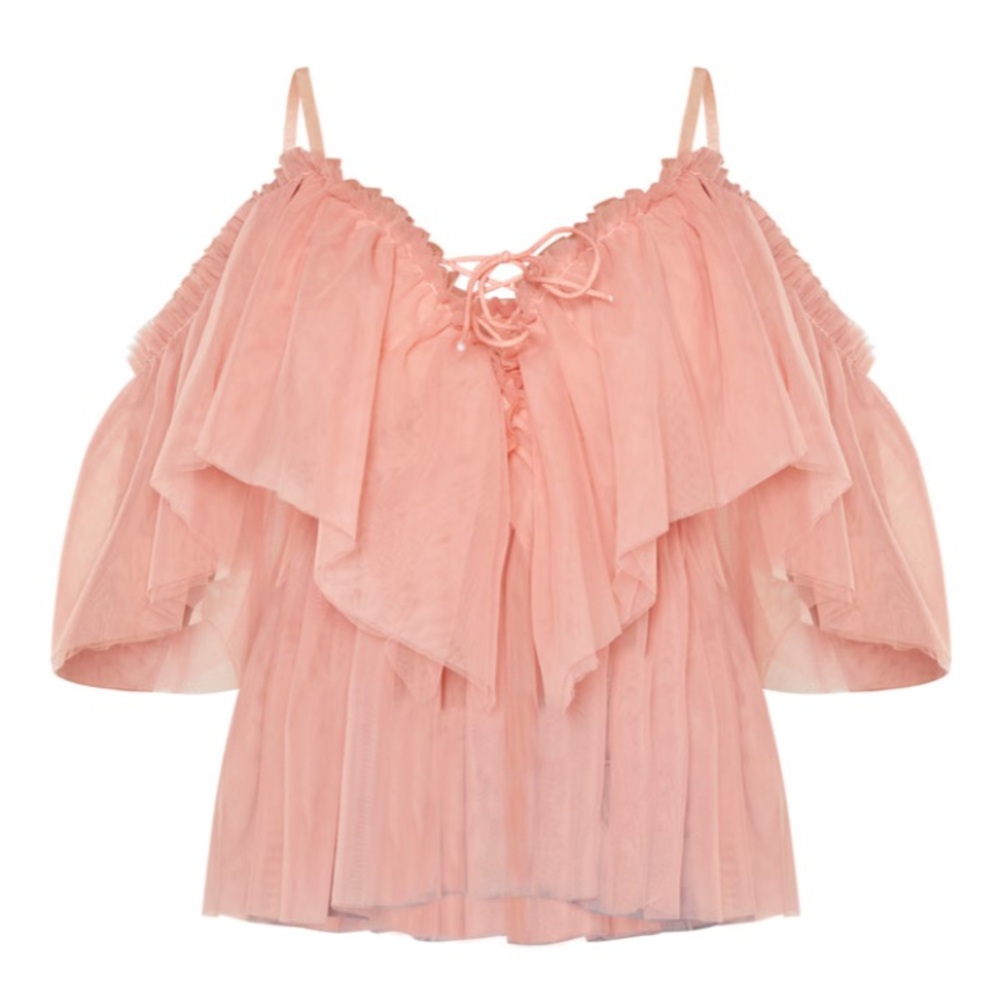 PRETTYLITTLETHING ROSE MESH RUFFLE BLOUSE - NWT - Size 10